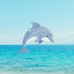 イルカ